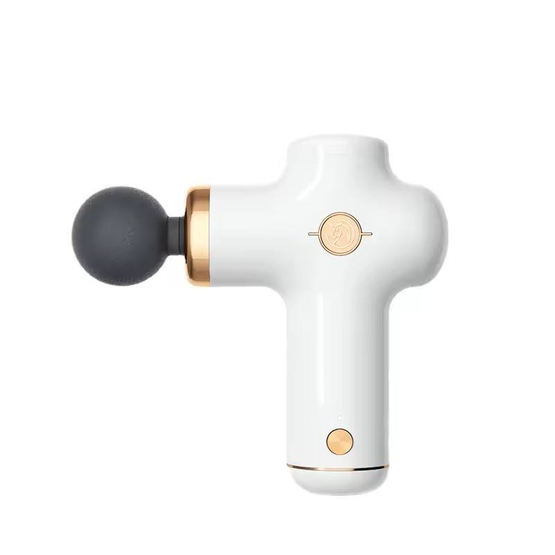 Handgehaltene Mini-Massagepist – Massage Gun Bewertung und Preis